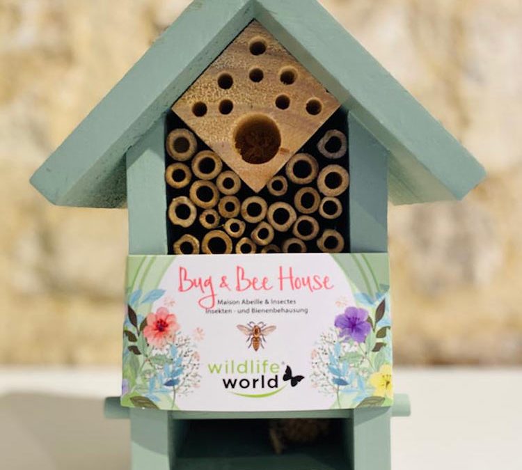 Bug & Bee House