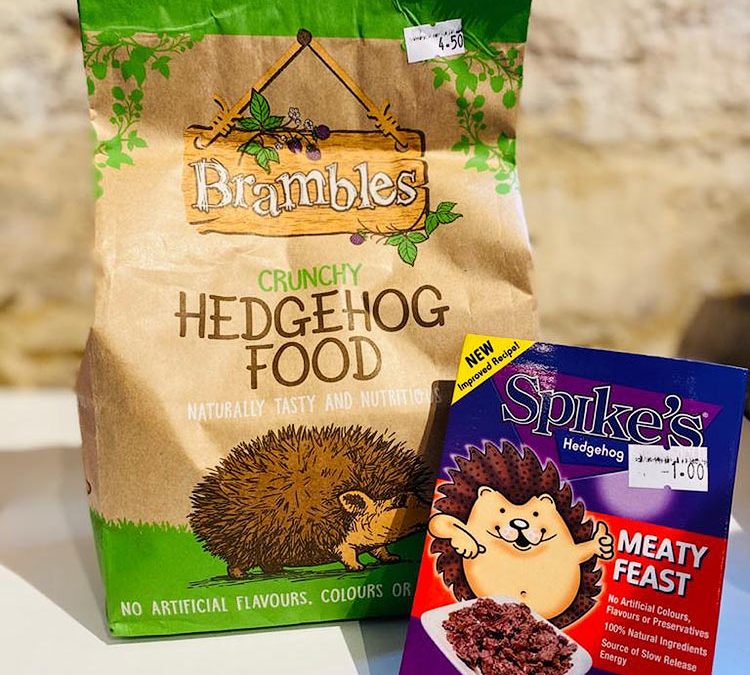 Hedgehog Food