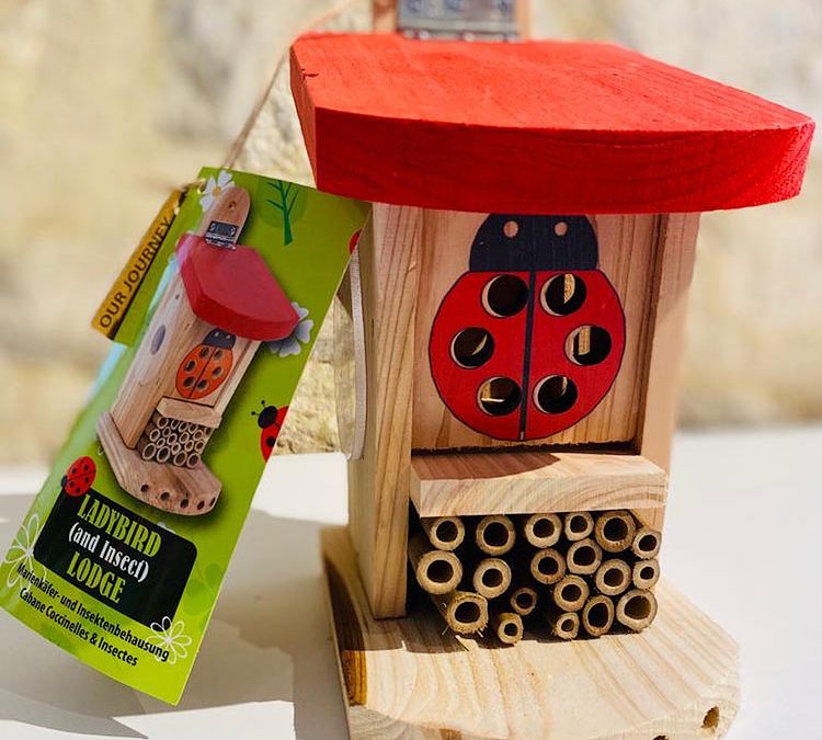 Ladybird Lodge